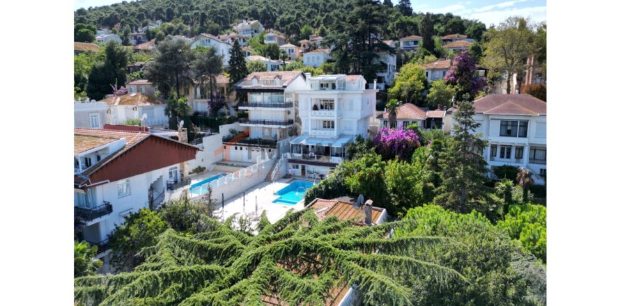 14 chambres Villa à Adalar, Turkey No. 22249