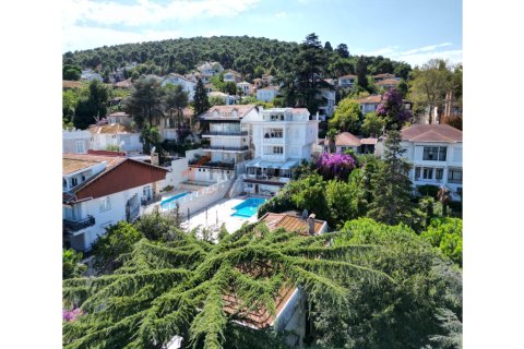 14 bedrooms Villa in Da Phuoc Hoi, Vietnam No. 22249 1