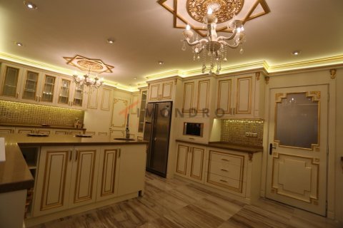 14 bedrooms Villa in Da Phuoc Hoi, Vietnam No. 22249 12