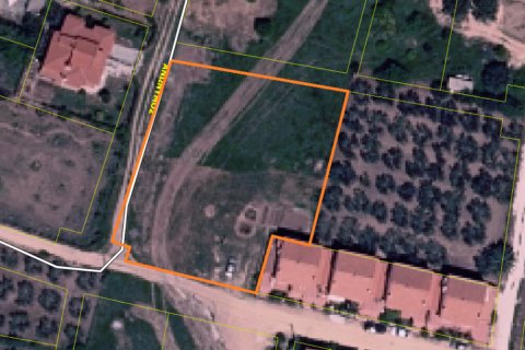 1959m² Land in Polygyros, Greece No. 109025 6