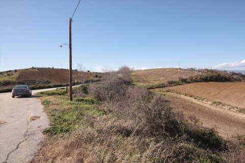 7000m² Land en Chalkidiki, Greece No. 59899 4