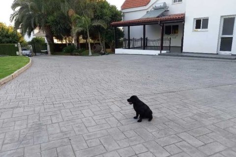 Дом с 5 спальнями в Пентакомо, Кипр №79663 11