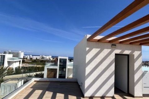 4 bedrooms Villa in Protaras, Cyprus No. 104517 3