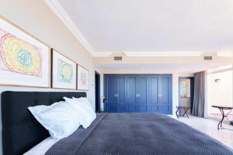 5 bedrooms Penthouse in Thuan Nam, Vietnam No. 27391 22