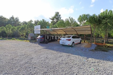 4 chambres Villa à Luong Phu, Vietnam No. 74619 19