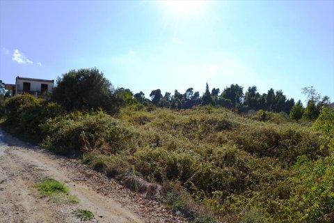 740m² Land en Chalkidiki, Greece No. 109685 3
