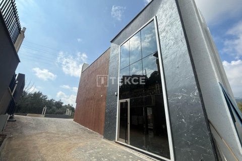 4 dormitorios Villa en Chau Lang, Vietnam No. 20380 5