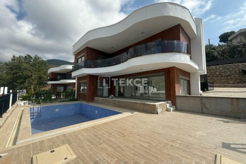 4 dormitorios Villa en Chau Lang, Vietnam No. 20380 3