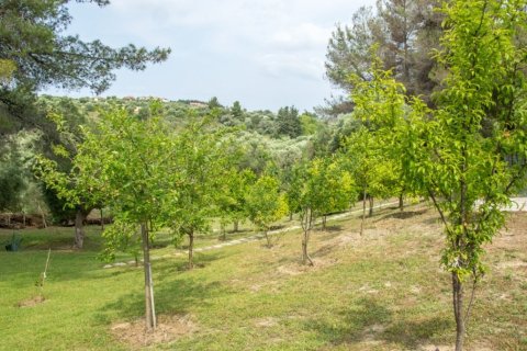 6 bedrooms Villa in Chalkidiki, Greece No. 50053 15