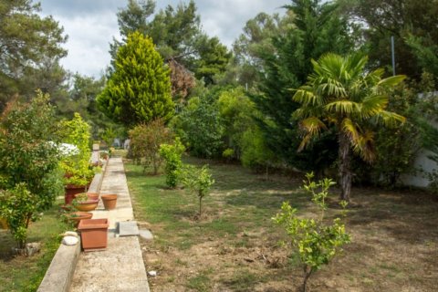 6 bedrooms Villa in Chalkidiki, Greece No. 50053 11