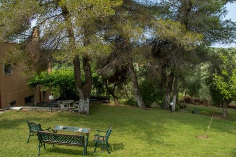 6 bedrooms Villa in Chalkidiki, Greece No. 50053 14