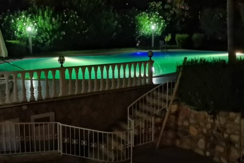 8 bedrooms Villa in Nong Ha, Vietnam No. 13968 5