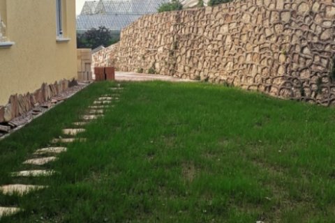 8 bedrooms Villa in Nong Ha, Vietnam No. 13968 17