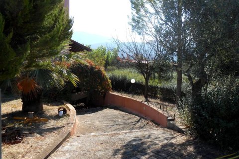 4 bedrooms House in Avlonas, Greece No. 59408 17