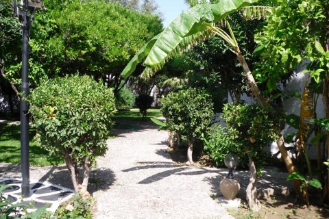 2200m² Hotel in Rhodes, Greece No. 58539 6