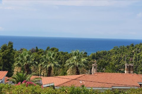 5 bedrooms Maisonette in Chalkidiki, Greece No. 56515 4