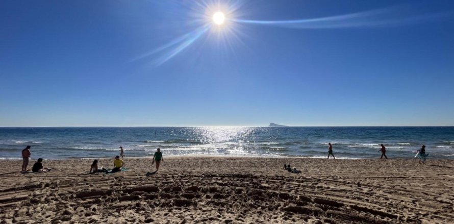 347m² Commercial property in Benidorm, Spain No. 124555