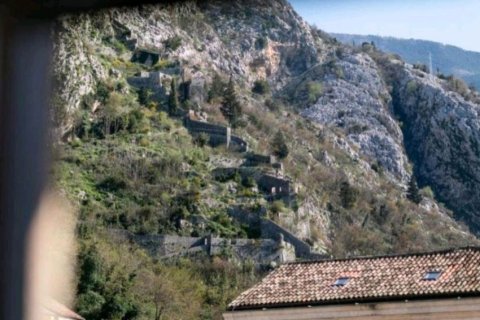 Квартира с 1 спальней в Котор, Черногория №66726 11