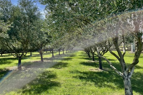 Дом 1044м² в Туртур, Франция №68110 3