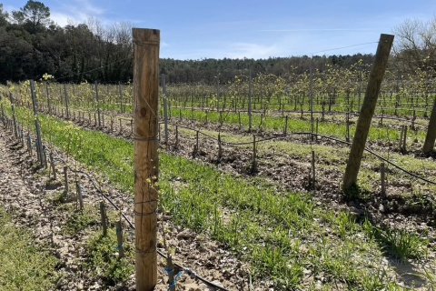 Дом 1044м² в Туртур, Франция №68110 8