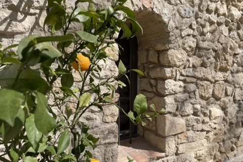 Дом 1044м² в Туртур, Франция №68110 4