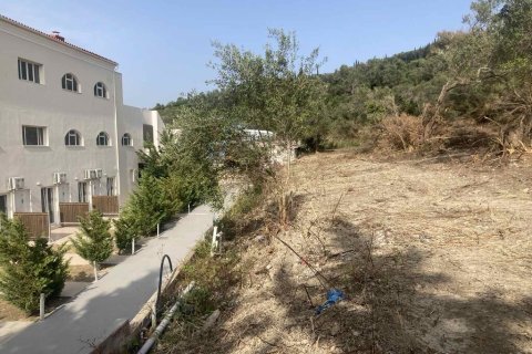 10025m² Land à Corfu, Greece No. 58363 21
