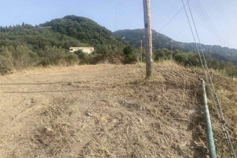 10025m² Land à Corfu, Greece No. 58363 20