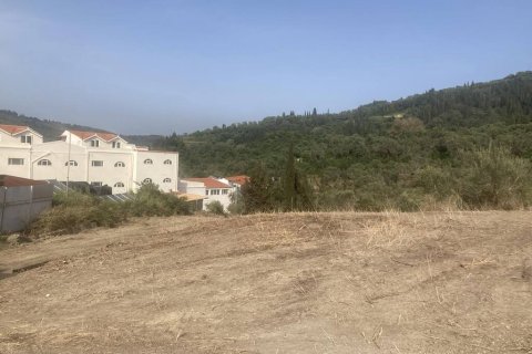 10025m² Land à Corfu, Greece No. 58363 17