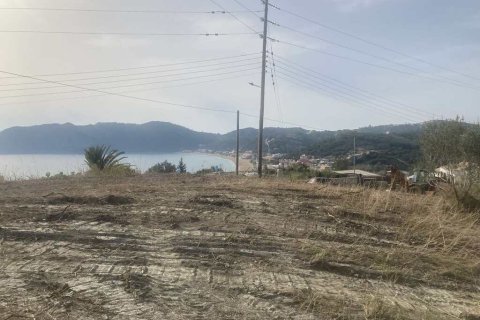 10025m² Land à Corfu, Greece No. 58363 12