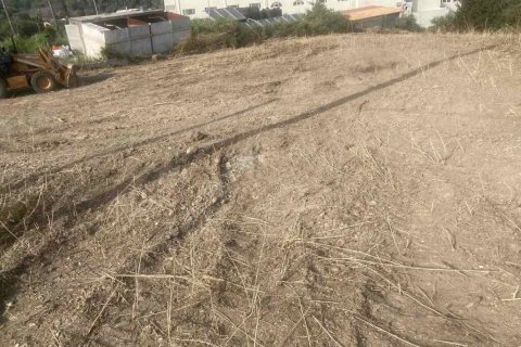 10025m² Land à Corfu, Greece No. 58363 15