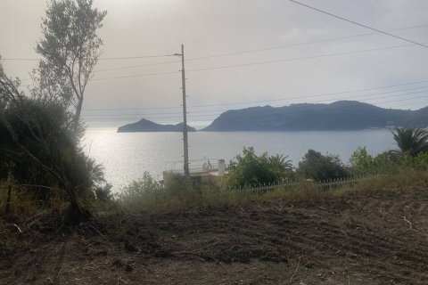 10025m² Land à Corfu, Greece No. 58363 14