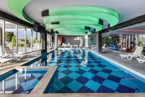 2 bedrooms Apartment in Chau Lang, Vietnam No. 13232 19