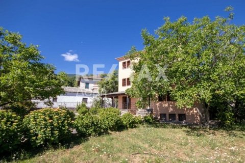 Дом с 7 спальнями в Муреси, Греция №75945 4