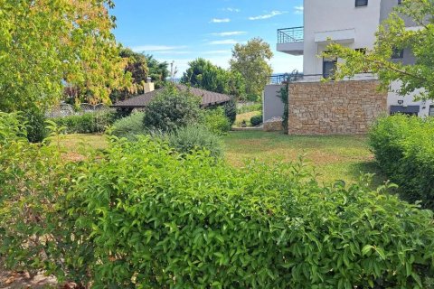 3 bedrooms Maisonette in Chalkidiki, Greece No. 109137 8