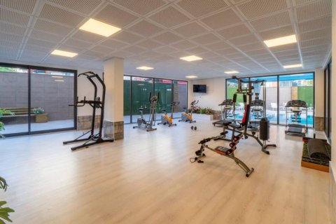 3 rooms Apartment in Chau Lang, Vietnam No. 17740 21