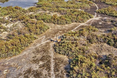 3 bedrooms Townhouse in Binh Duong, Vietnam No. 87532 9