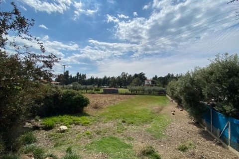 1063m² Land in Chalkidiki, Greece No. 109348 6
