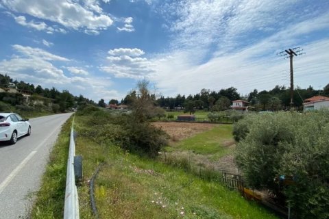 1063m² Land in Chalkidiki, Greece No. 109348 4