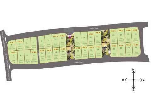 4 bedrooms Villa in Souni–Zanatzia, Cyprus No. 81646 6