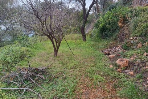 2 rooms Land in My Thanh, Vietnam No. 13379 3