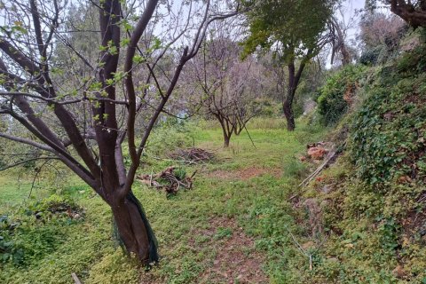 2 rooms Land in My Thanh, Vietnam No. 13379 9