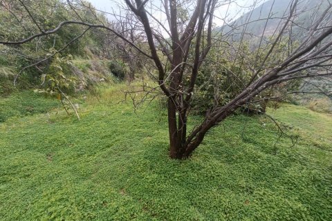 2 rooms Land in My Thanh, Vietnam No. 13379 5