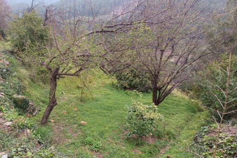 2 rooms Land in My Thanh, Vietnam No. 13379 6