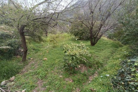 2 rooms Land in My Thanh, Vietnam No. 13379 8