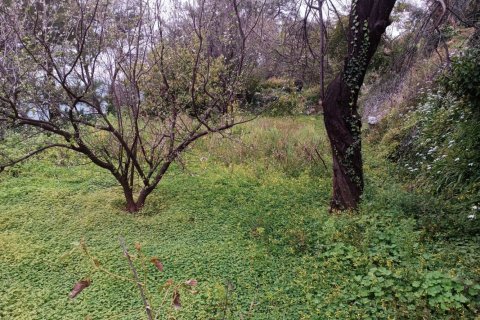 2 rooms Land in My Thanh, Vietnam No. 13379 10