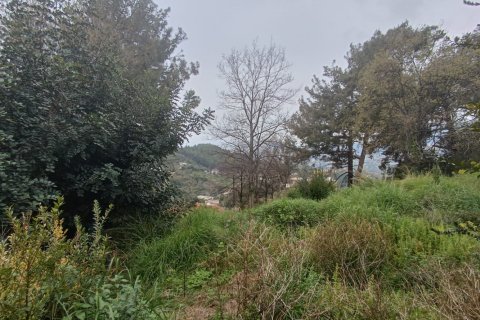 2 rooms Land in My Thanh, Vietnam No. 13379 2