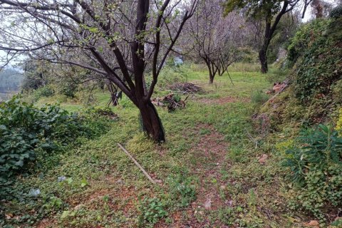 2 rooms Land in My Thanh, Vietnam No. 13379 4