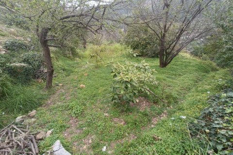 2 rooms Land in My Thanh, Vietnam No. 13379 7