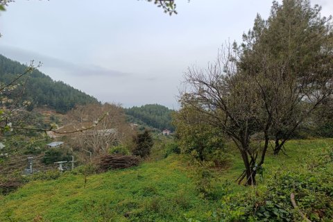 2 rooms Land in Oba, Turkey No. 13379