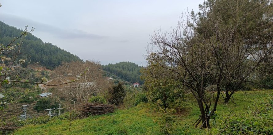 2 habitaciones Land en Oba, Turkey No. 13379